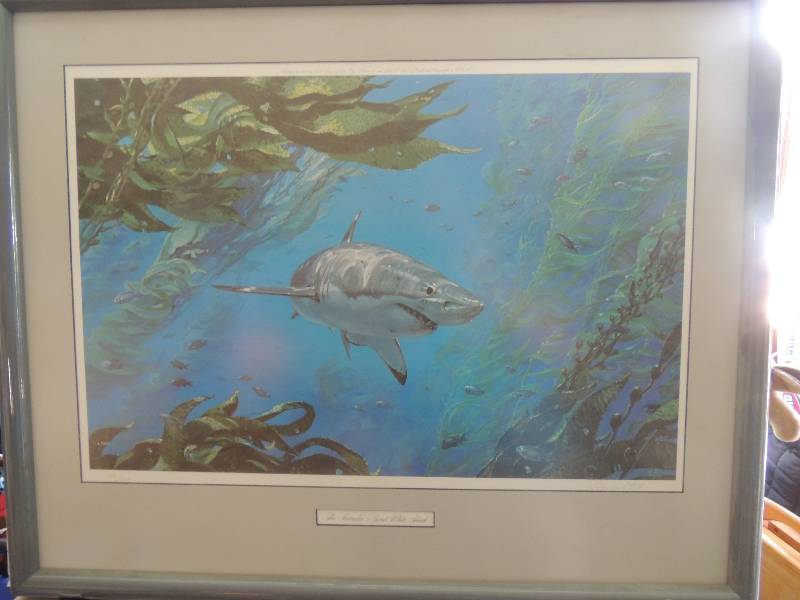 lot 50 image: Steel, John  Lithograph SN 102500 1984 The Intruders- Great White Shark F 26x32