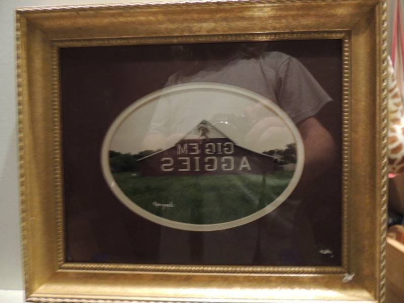 lot 66 image: Karaeryusti, Karen   Photo AGGIES BARN F 10x13