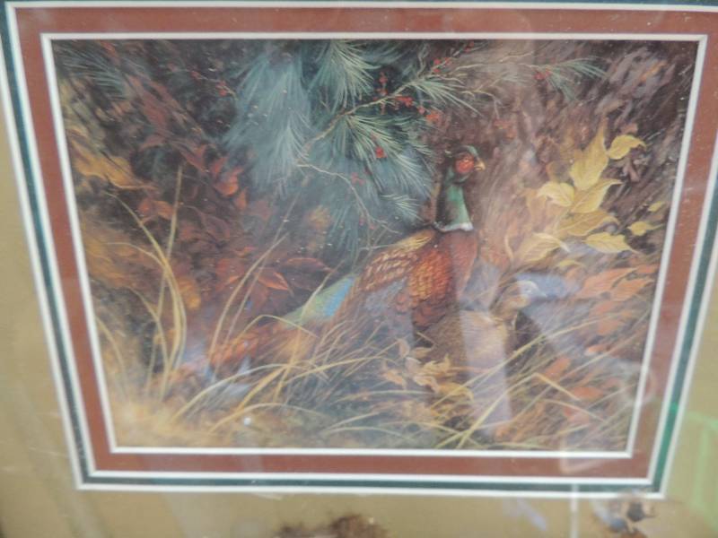 lot 81 image: Carter, James   Lithograph Pheasants F 15x18