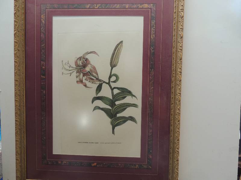 lot 96 image: Artist Unknown Lithograph Giglio Specio Blanko Floral plate F 26x19