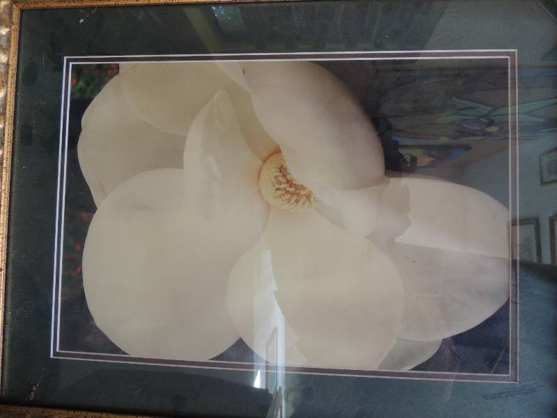 lot 99 image: OKeef Style Artist unknown Lithograph gardenia F 20x26