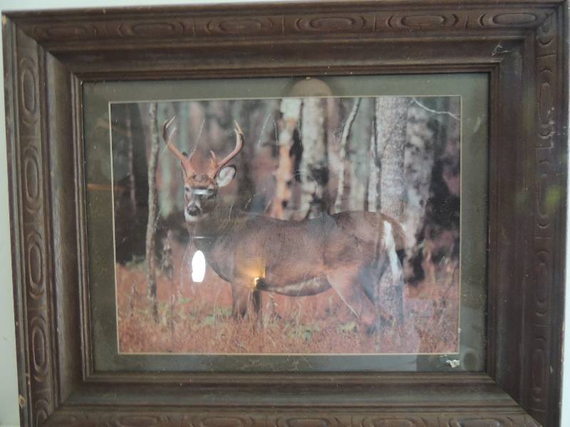 lot 107 image: Artist  unknown  print of deer 16 x 20