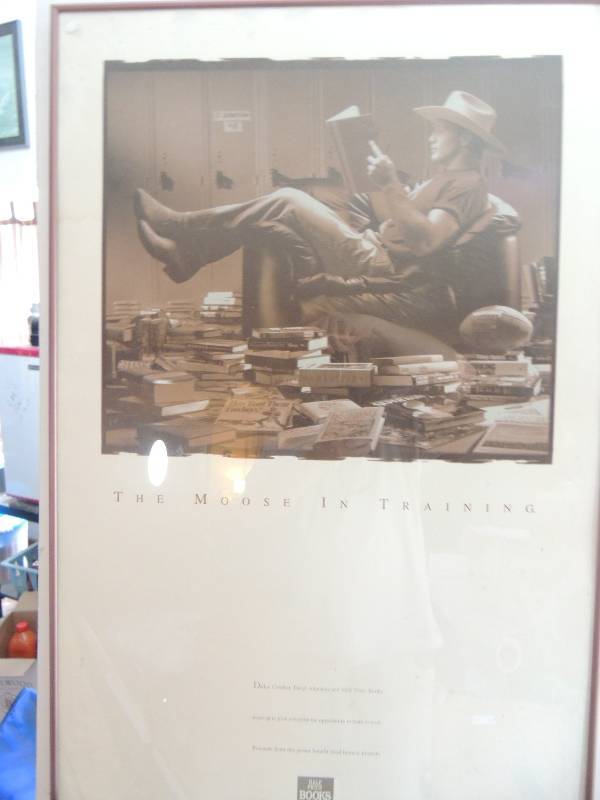 lot 127 image: Half Price Books Charity Poster Daryl Moose Johnston