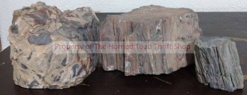 lot 35 image: Petrified Wood