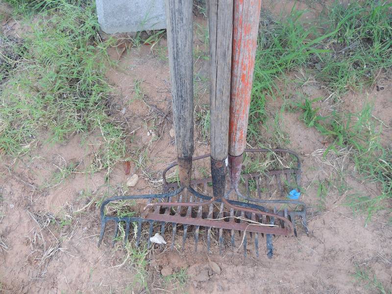 lot 509 image: 4 wooden handle garden rakes