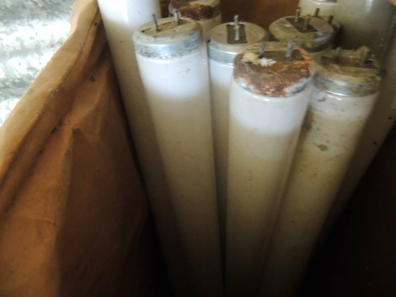 lot 75 image: Florescent bulbs