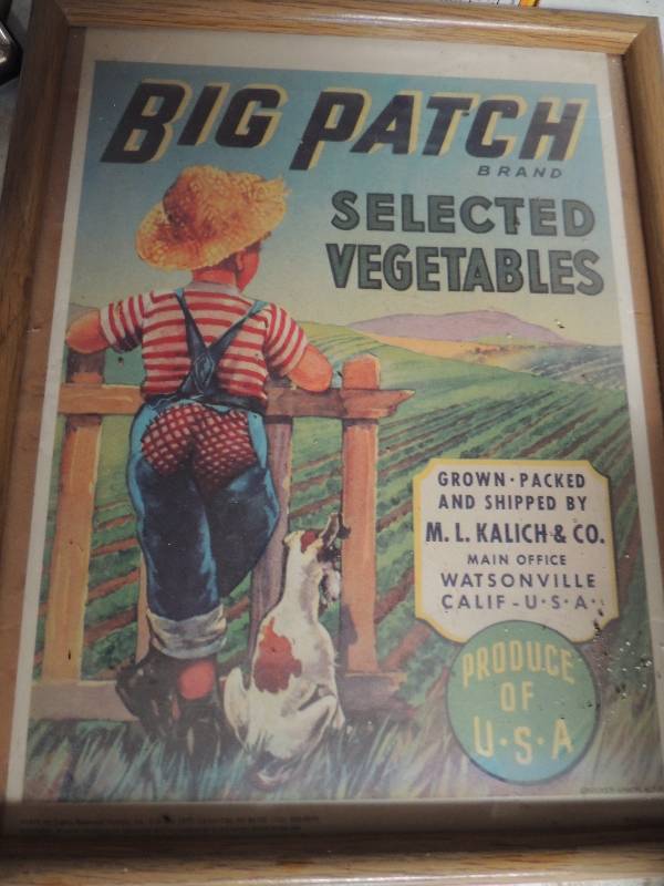 lot 675 image:  BIG PATCH, ROOSTERS AND MORE PICTURES