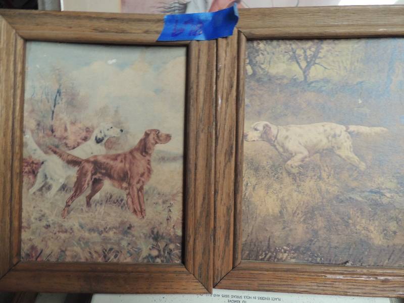 lot 678 image: 2 5x7 pictures of dogs 2 11x11 wild cows