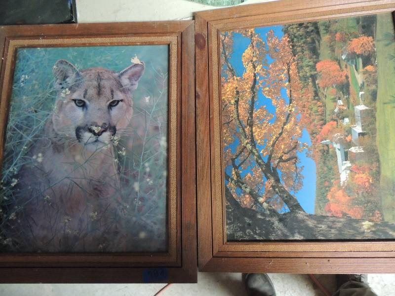 lot 782 image: Cougar 20x24 Country meadow 20x24