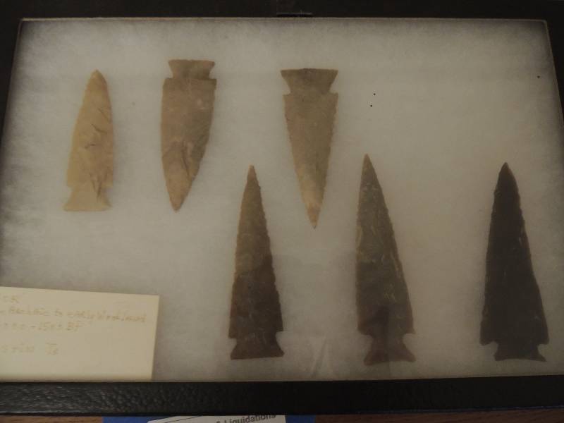 lot 6 image: Black  shadowbox of Indian arrowheads x 6  Insore late archaic to early woodland 4000-15-- BP austic TX.