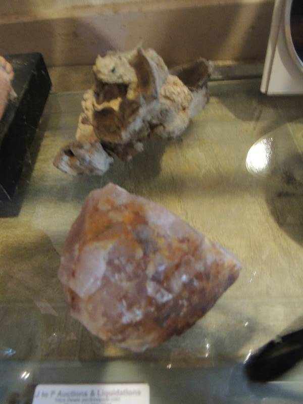 lot 132 image: petrified wood piece and beautiful rock