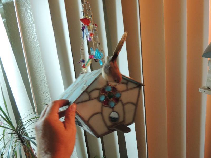 lot 152 image: Stained glass bird house 8x7x9 with blown glass humming birds wood bird house