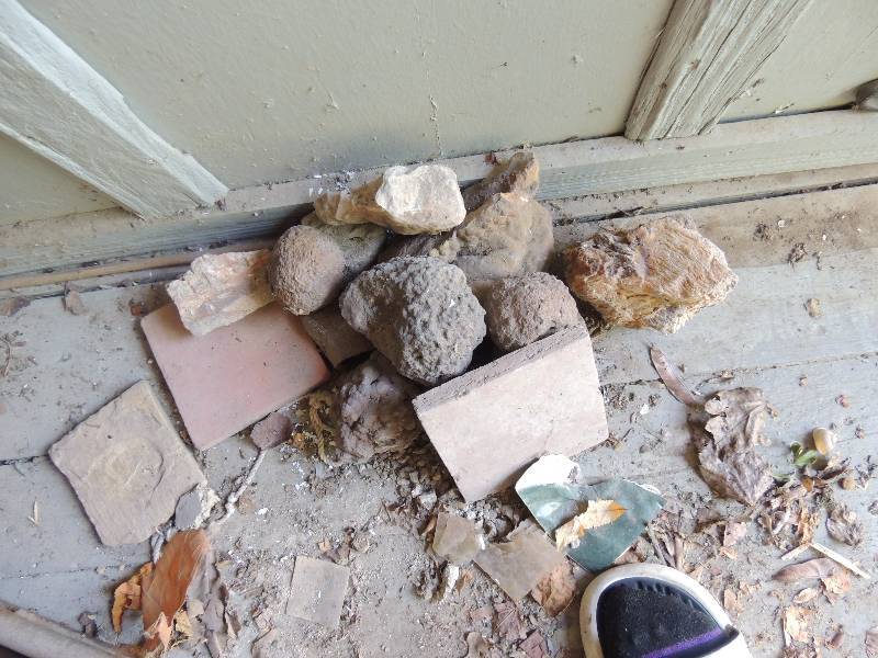 lot 293 image: Lot of rocks and petrified wood
