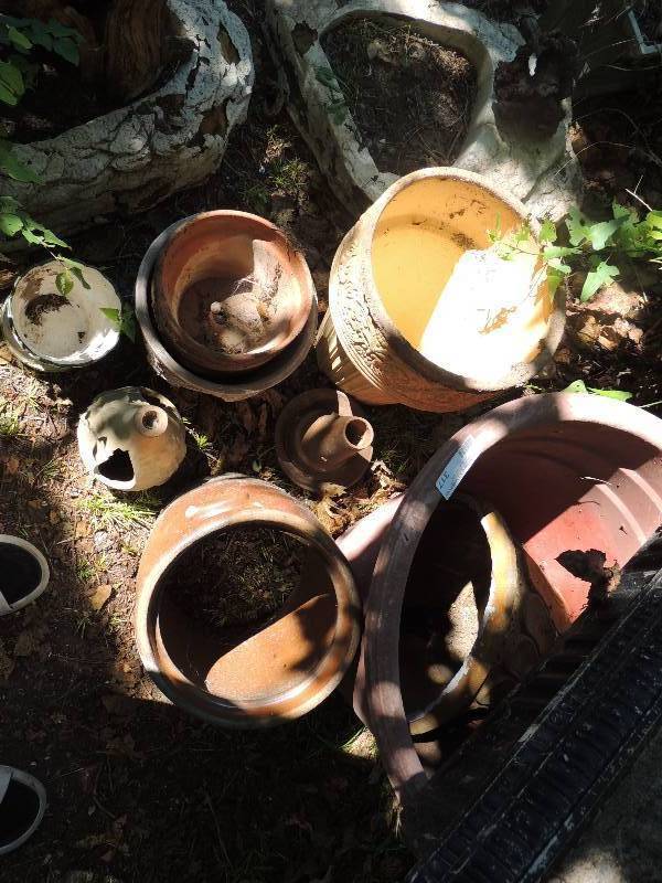lot 317 image: Lot of flower pots