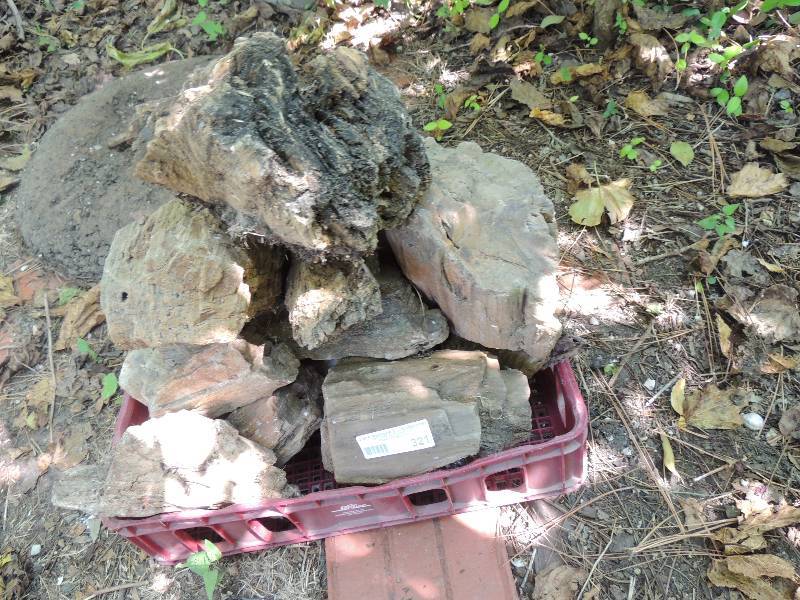 lot 321 image: 20 pieces of petrified wood