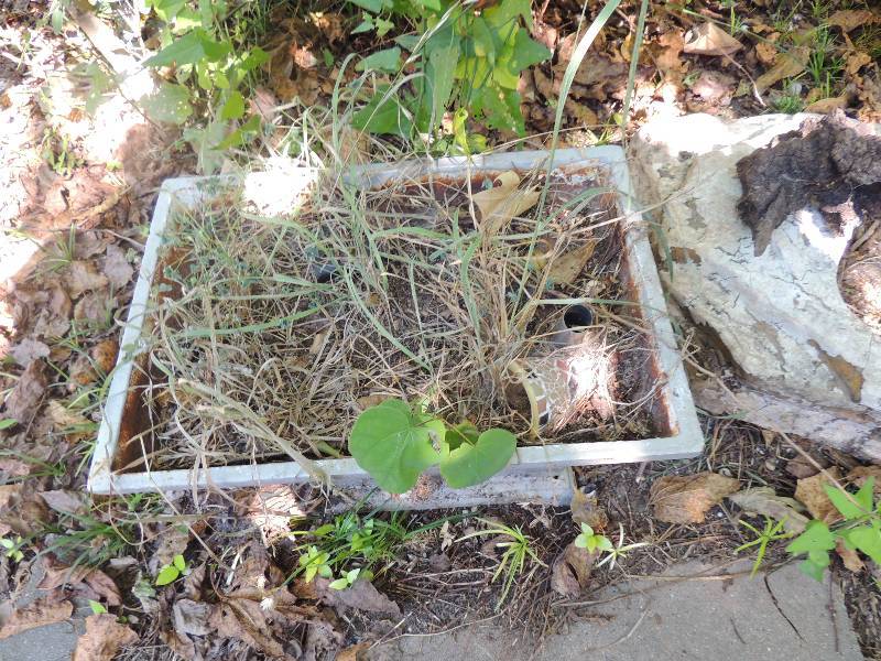 lot 350 image: planter with petrified wood on top 2 misc. planters