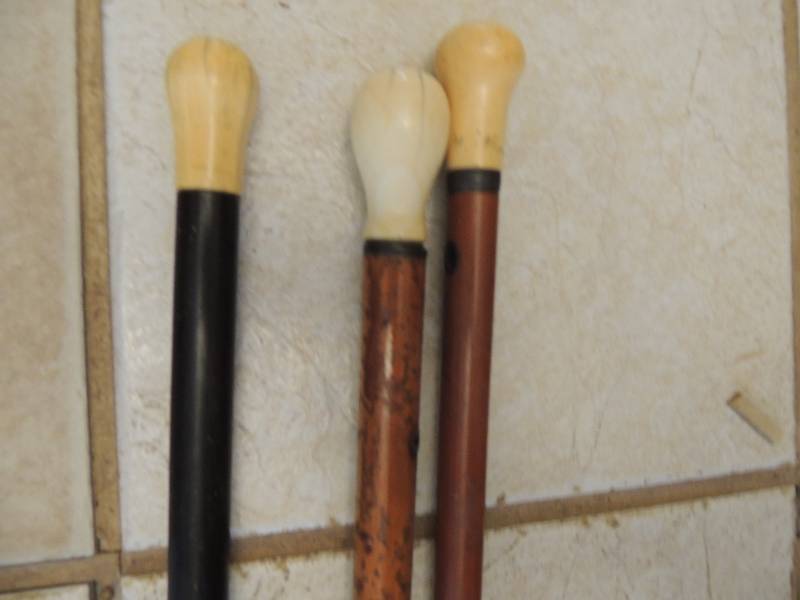 lot 109 image: 3 Walking sticks  WITH MEERSCHAUM TOPS
