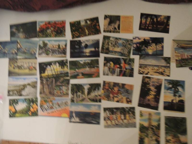 lot 465 image: Vintage Post cards 1940 and 1950s. Florida. Includes Black Americana 28 pieces