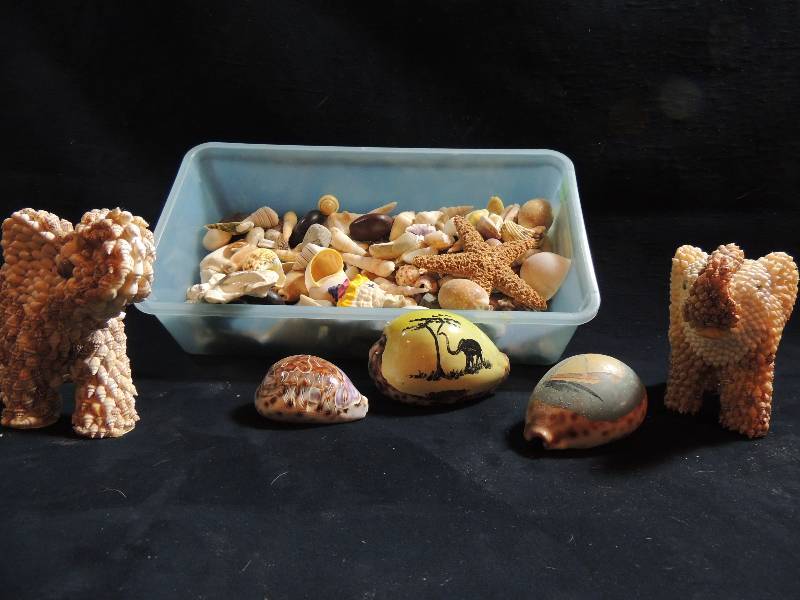 lot 209 image: 2 shell covered elephants 4 H Phillipines and other varied shells including starfish and painted conch