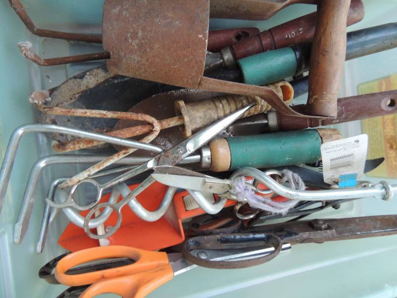 lot 583 image: Small tub of scissors and garden tools