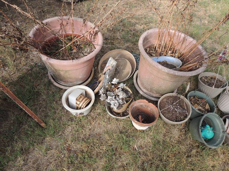 lot 638 image: LOT OF FLOWER POTS