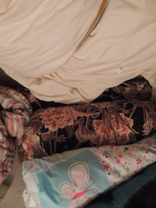 lot 313 image: Comforters, fleece blankets, bedspreads, all sizes