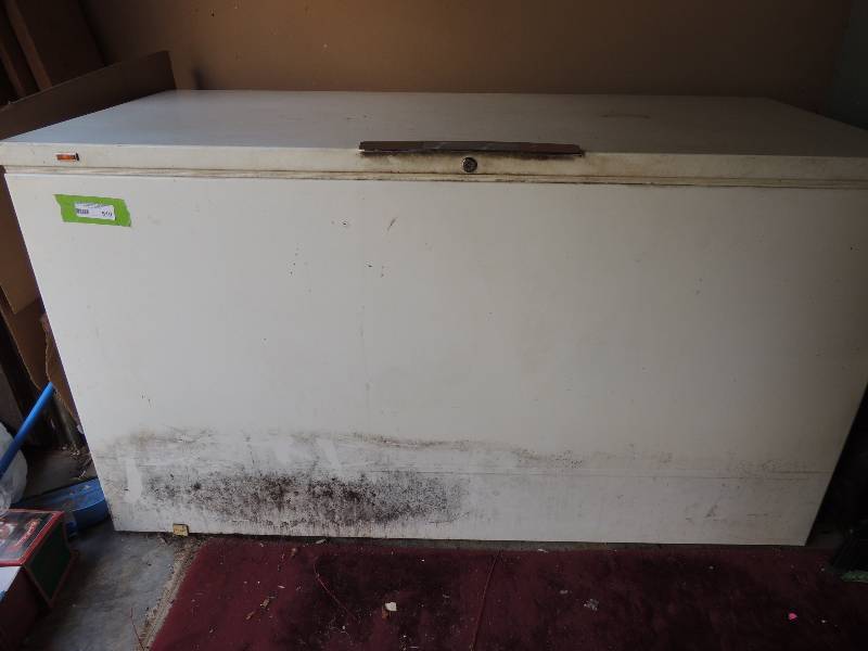 lot 510 image: Chest Freezer Montgomery Wards 23 cubic ft.
