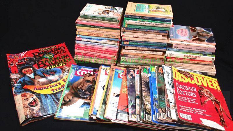 lot 16 image: Assorted youth books as shown