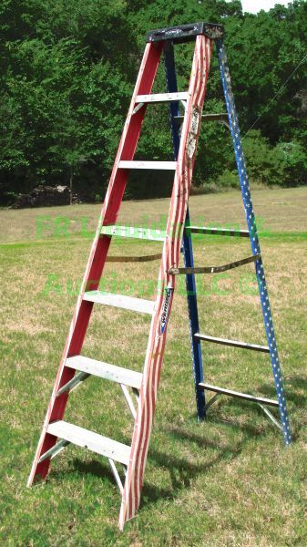 lot 69 image: Werner 8ft ladder