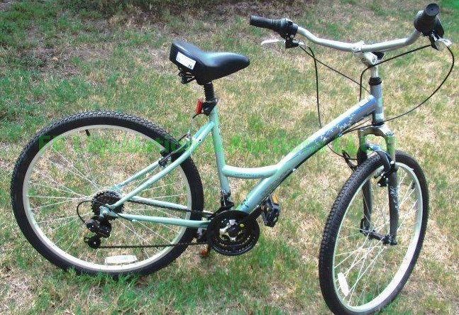 lot 86 image: Reaction Northway Ladies 21 Speed Custom Bike