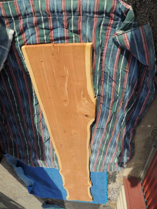 lot 851 image: Cedar Live Edge Bar top size 122 length x 22 width