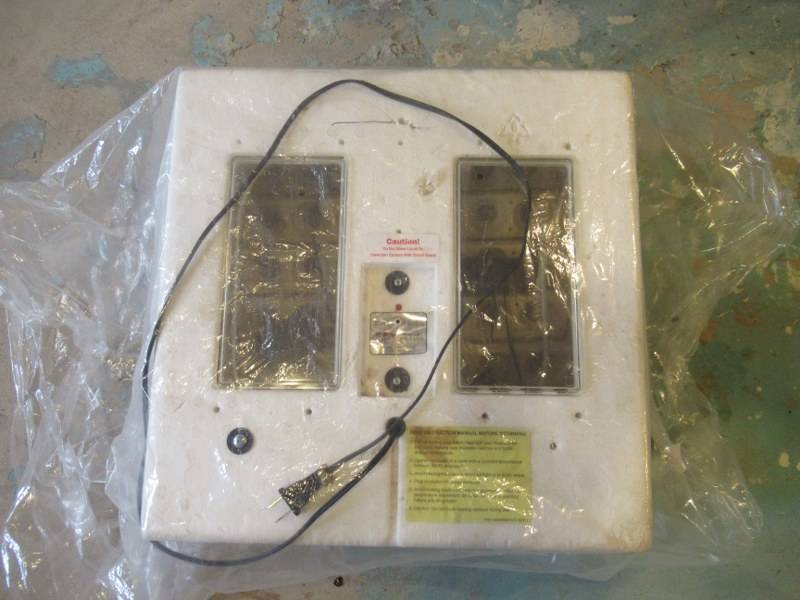 lot 71 image: LITTLE GIANT STILL AIR INCUBATOR
