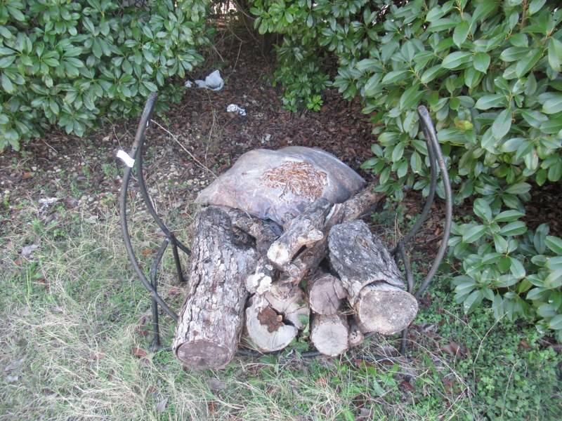 lot 155 image: FIREWOOD RACK WITH WOOD