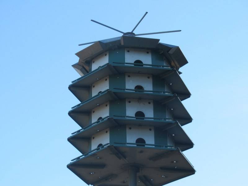 lot 158 image: MARTIN HOUSE WITH RETRACTABLE WINCH TO RAISE AND LOWER BIRD HOUSE. BUYER MUST DIG UP OR CUT OFF LEVEL WITH GROUND
