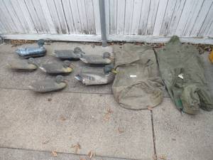 lot 45 image: 7 DUCK DECOYS WITH 2 CANVAS CARRYING BAGS