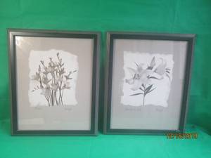 lot 13 image: FREESIA BALOGH &amp STAR GAZER LILY BALOGH FRAMED PICTURES&nbsp19X23 EACH PICTURE&nbsp