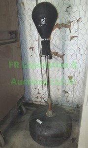 lot 123 image: Everlast punching strike bag