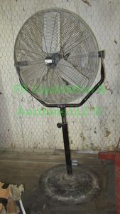 lot 146 image: 30 in. Pedestal Fan