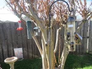 lot 202 image: BIRD HOUSE AND FEEDERS ONE ON 6 FT. SHEPPARDS HOOK POLE