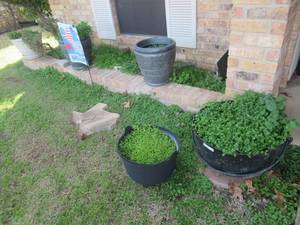 lot 215 image: CAST IRON POTPLANTER, PLACTIC POT SHAPE OF TEXAS STONE WITH LOGNHORN AND PLANTER
