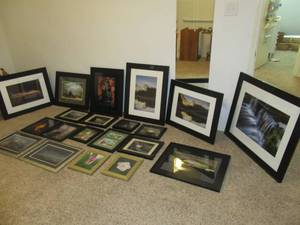 lot 21 image: BEAUTIFULLY FRAMED STILL LIFE PHOTOS ALL TAKEN WITH CAMERA IN LOT 39 AS SHOWN FROM 35 X 29 TO 11 X 9