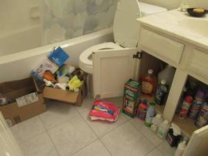lot 26 image: BATHROOM LOT INCLUDING FLUIDMASTER FILL VALVE AND FLAPPER HOUSEHOLD CLEANERS, AQUA SENSE SHOWER WAND AND NORE