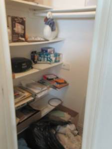 lot 36 image: CLOSET LOT INCLUDING EURO-PRO PORTABLE STEAMER, OSCILLATING FAN, LIGHTS AND MORE AS SHOWN
