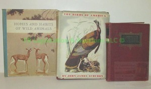 lot 141 image: Vintage 1946 John James Audubon The birds of America from original drawings, 1934 Homes & Habits of wild animals, plus