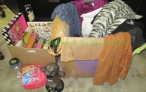 lot 265 image: Decorative items incl Tek Gear and more