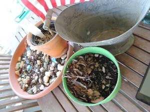 lot 126 image: METAL BUCKET   FLOWER POTS X 2   TRAY OF ROCKS