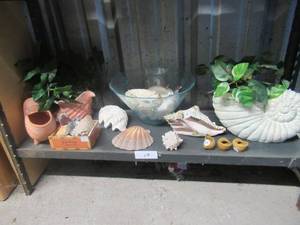 lot 17 image: SEA SHELL COLLECTION GIANT CLAM, SCALLOP, CONCH OYSTER CORAL AND NAUTILUS PLANTER
