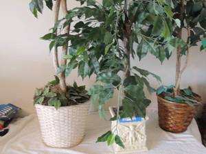 lot 94 image: white wicker planter with tree 69H baby cherub ceramic planter with tree41 high and brown wicker basket  planter with tree 50 H