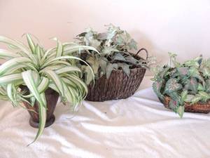 lot 96 image: 3 small planters with  faux plants