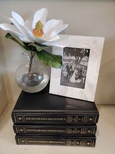lot 17 image: Twos Company Frame, Books & Faux Plant